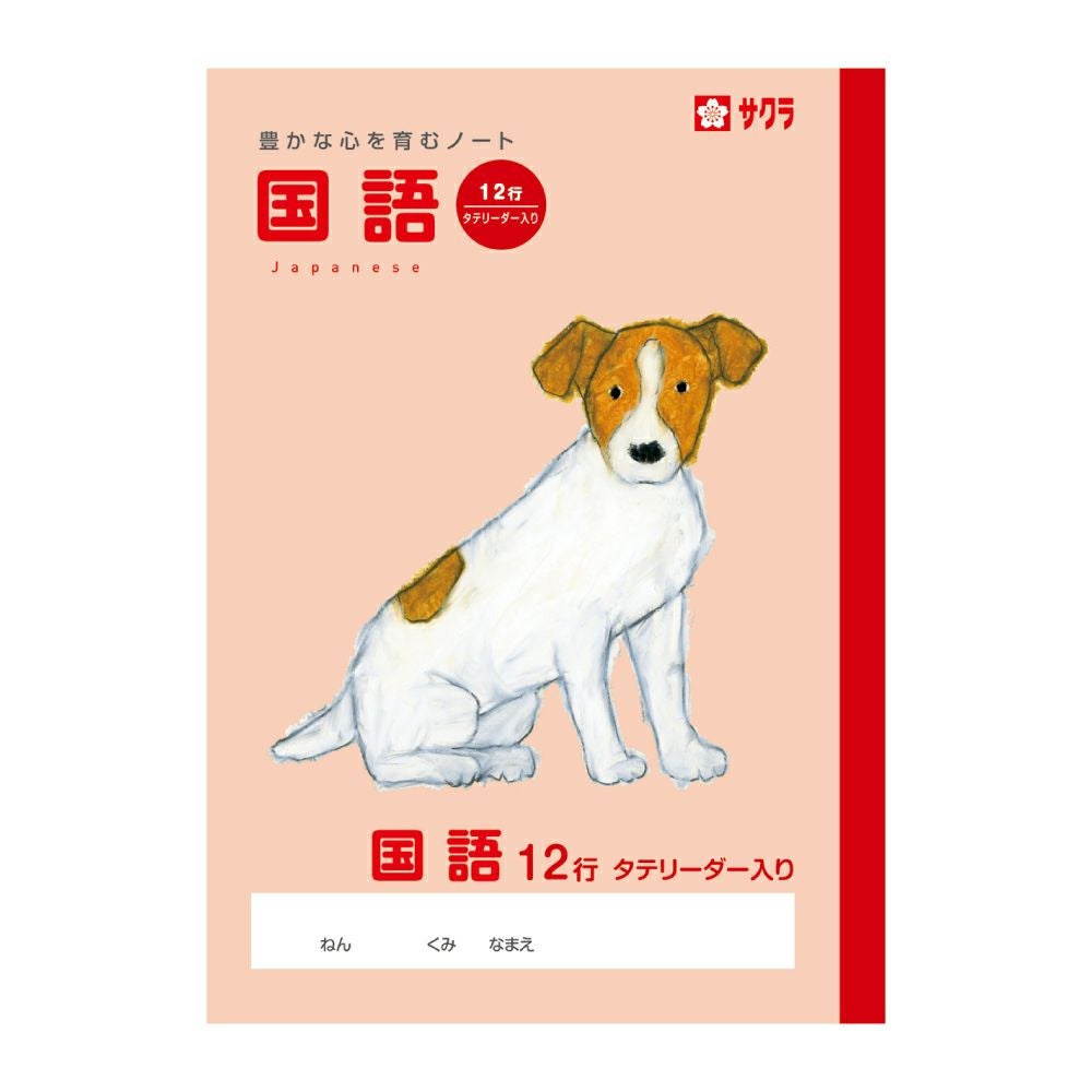 国語参考書（ばら売り可） 中高国語の完全攻略(2023年度版 専門教養 Build Up シリーズ1) (教員